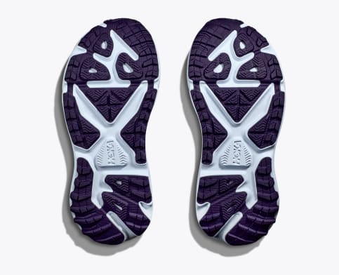 Bellwether Blue / Camellia