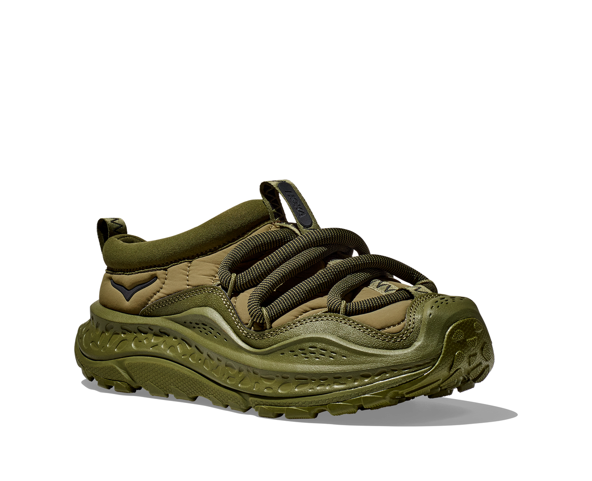 Forest Floor / Forest Floor