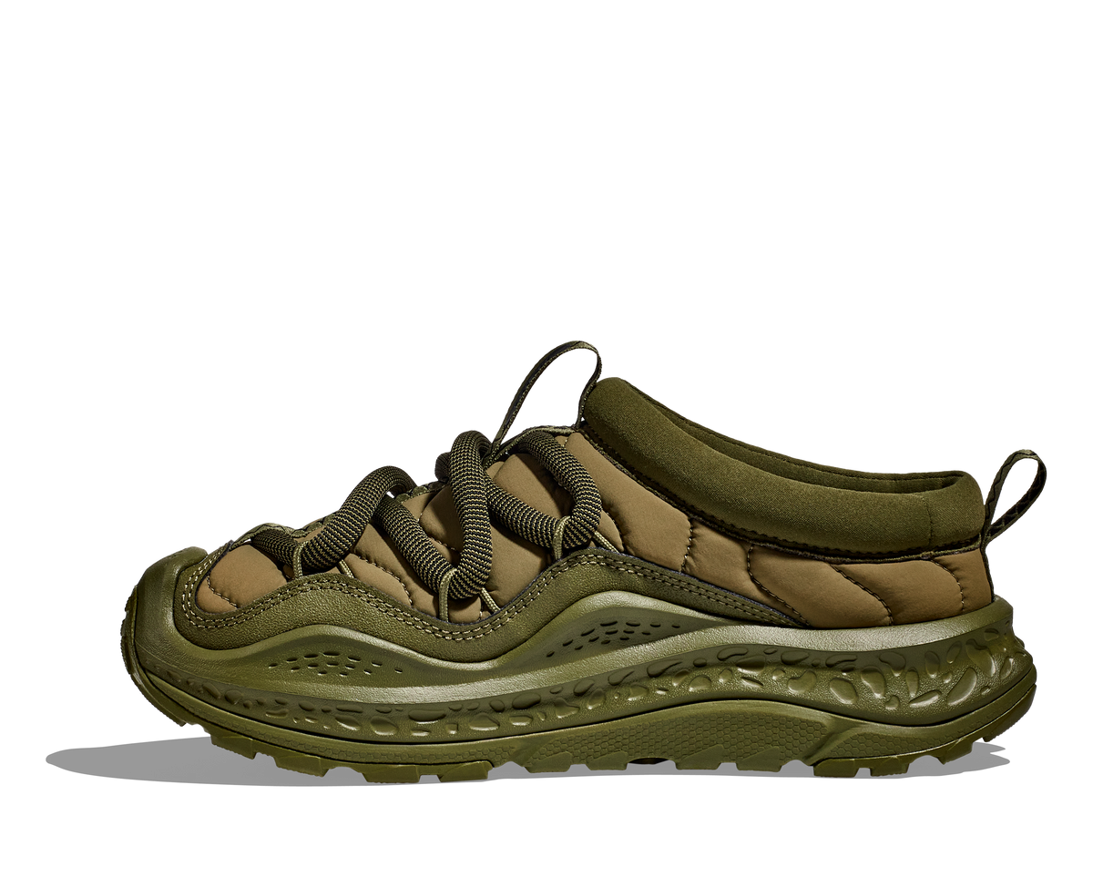 Forest Floor / Forest Floor