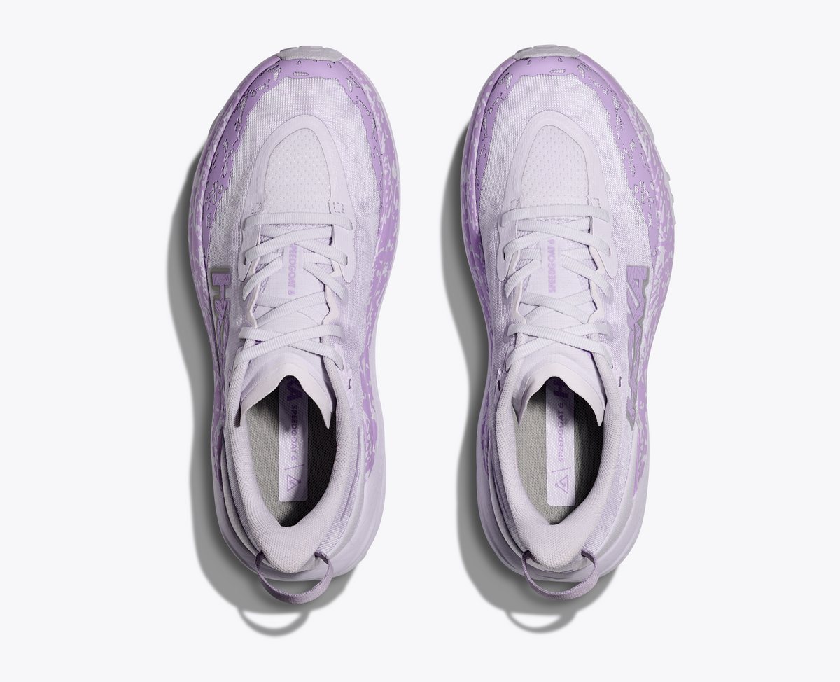 Starlight Glow / Aster Flower