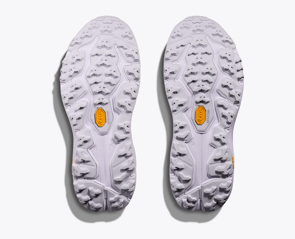 Starlight Glow / Aster Flower