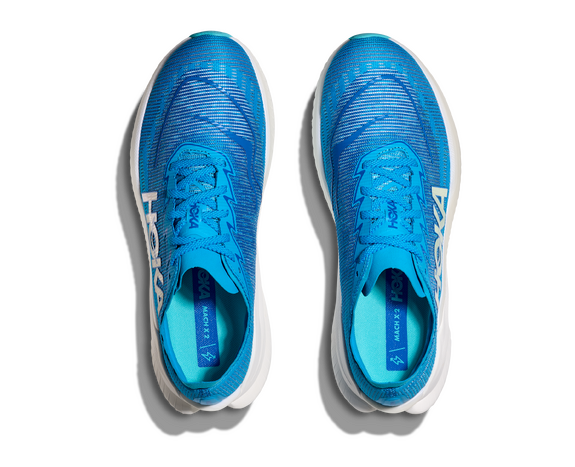 Skyward Blue / Electric Cobalt