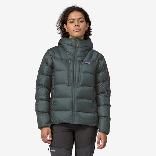 Patagonia men's fitz best sale roy down hoody stores