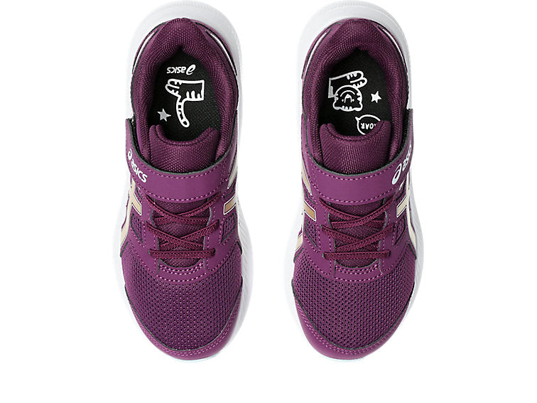 Deep Mauve/Champagne