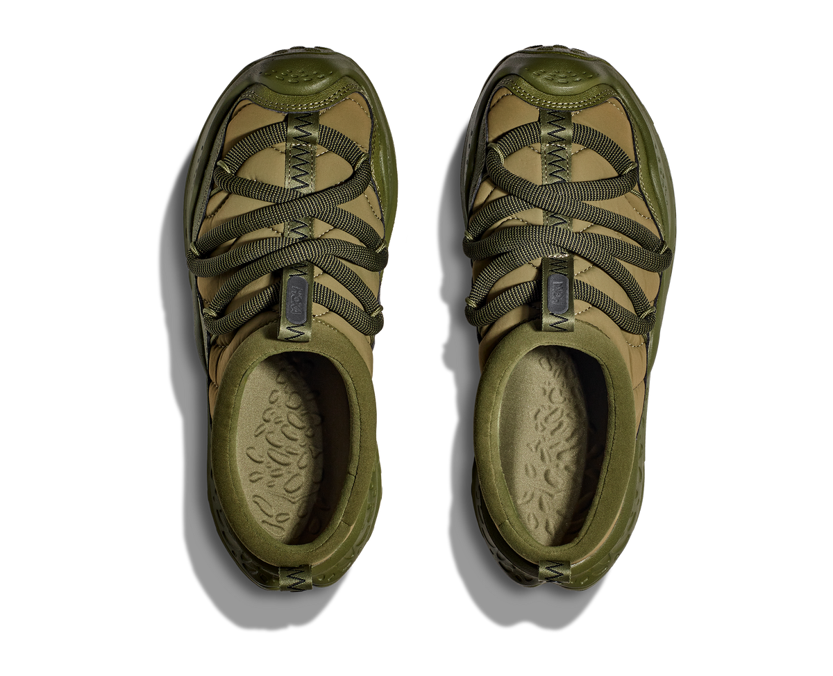 Forest Floor / Forest Floor