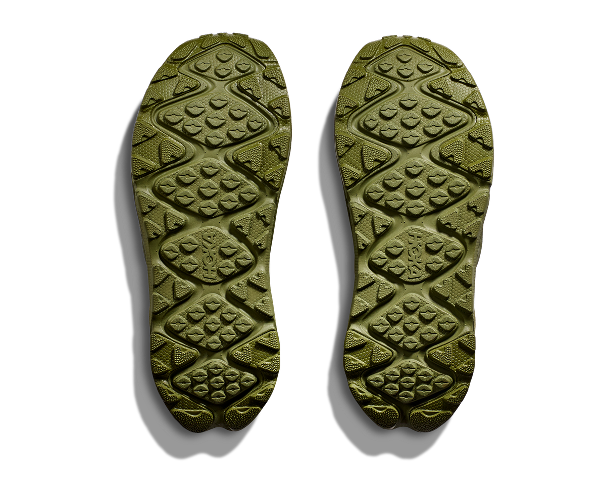 Forest Floor / Forest Floor
