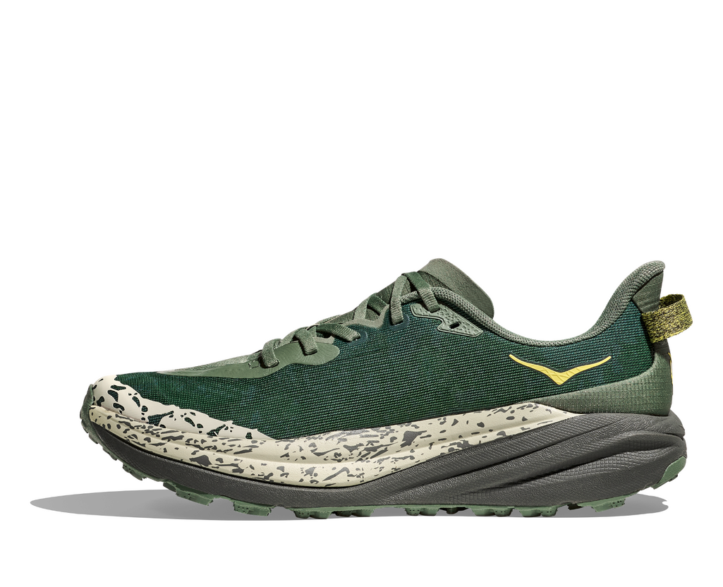 Fern / Asphalt Grey