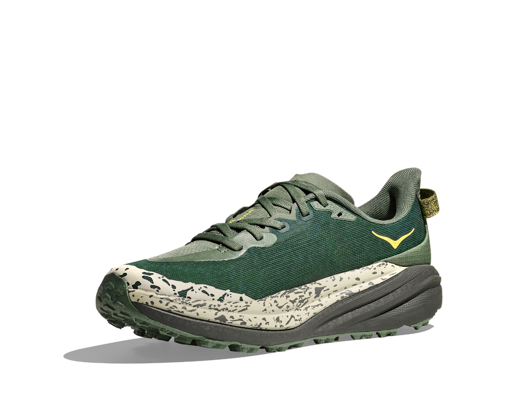 Fern / Asphalt Grey