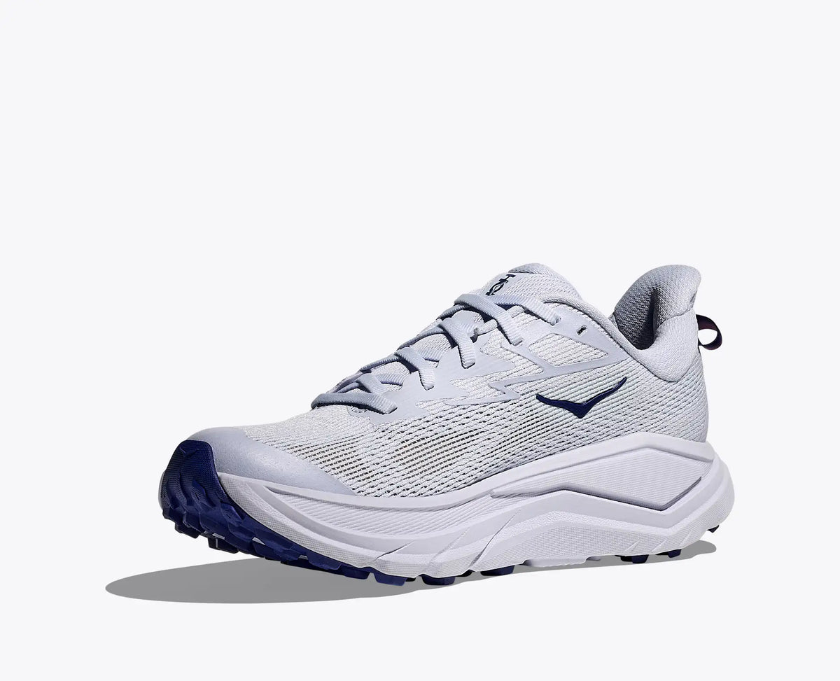 ambient blue / blueberry