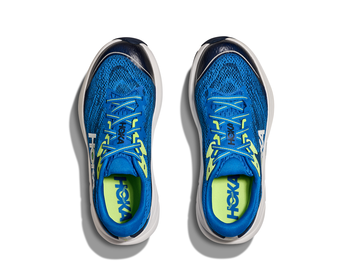 Electric Cobalt / Varsity Navy
