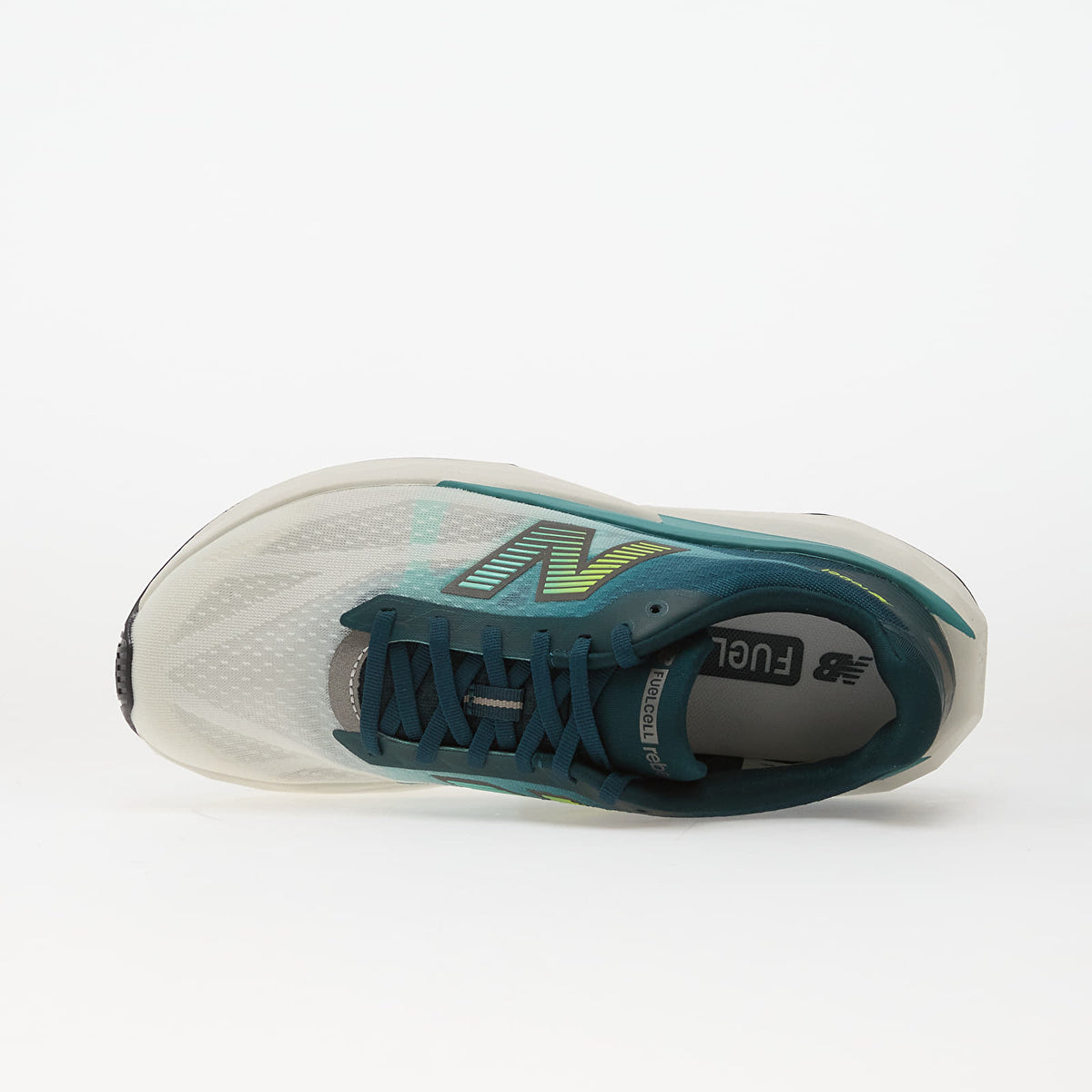 Medusa Green/ Faded Teal