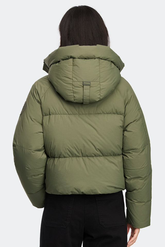 Vireo Green