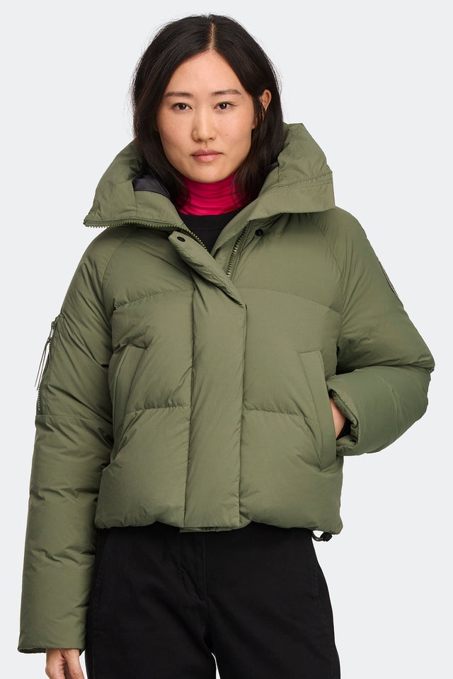 Vireo Green