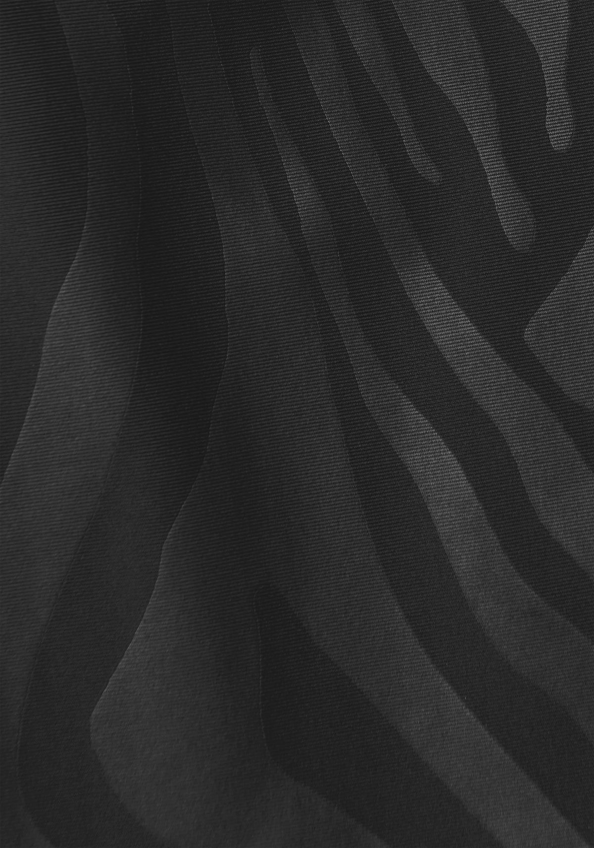 Zebra Black