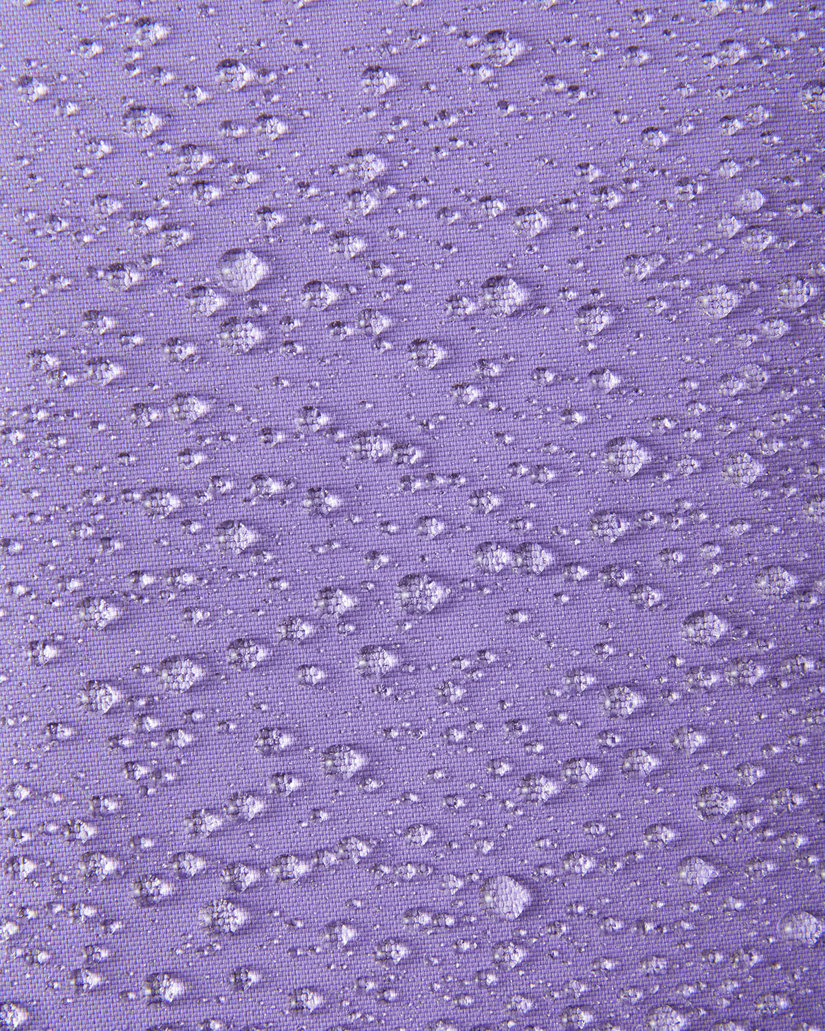 Misty Violet