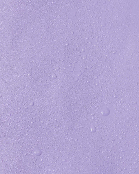 Blooming Lilac
