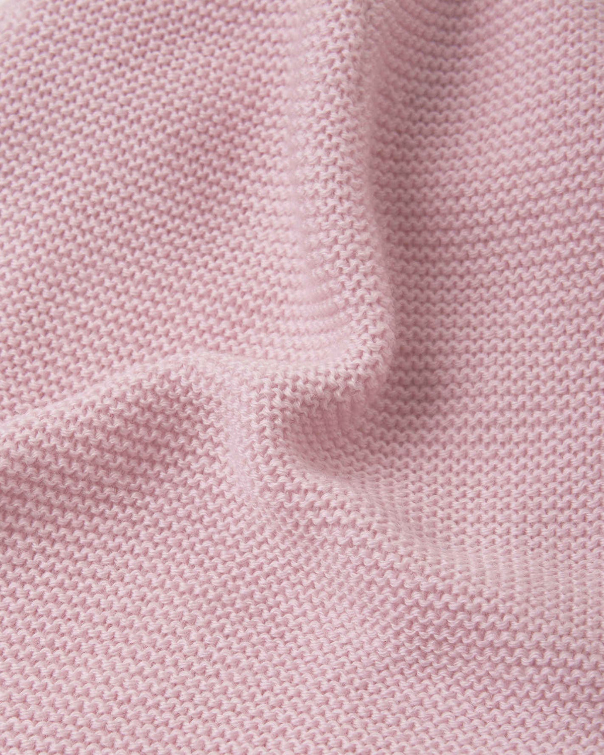 Pale Rose
