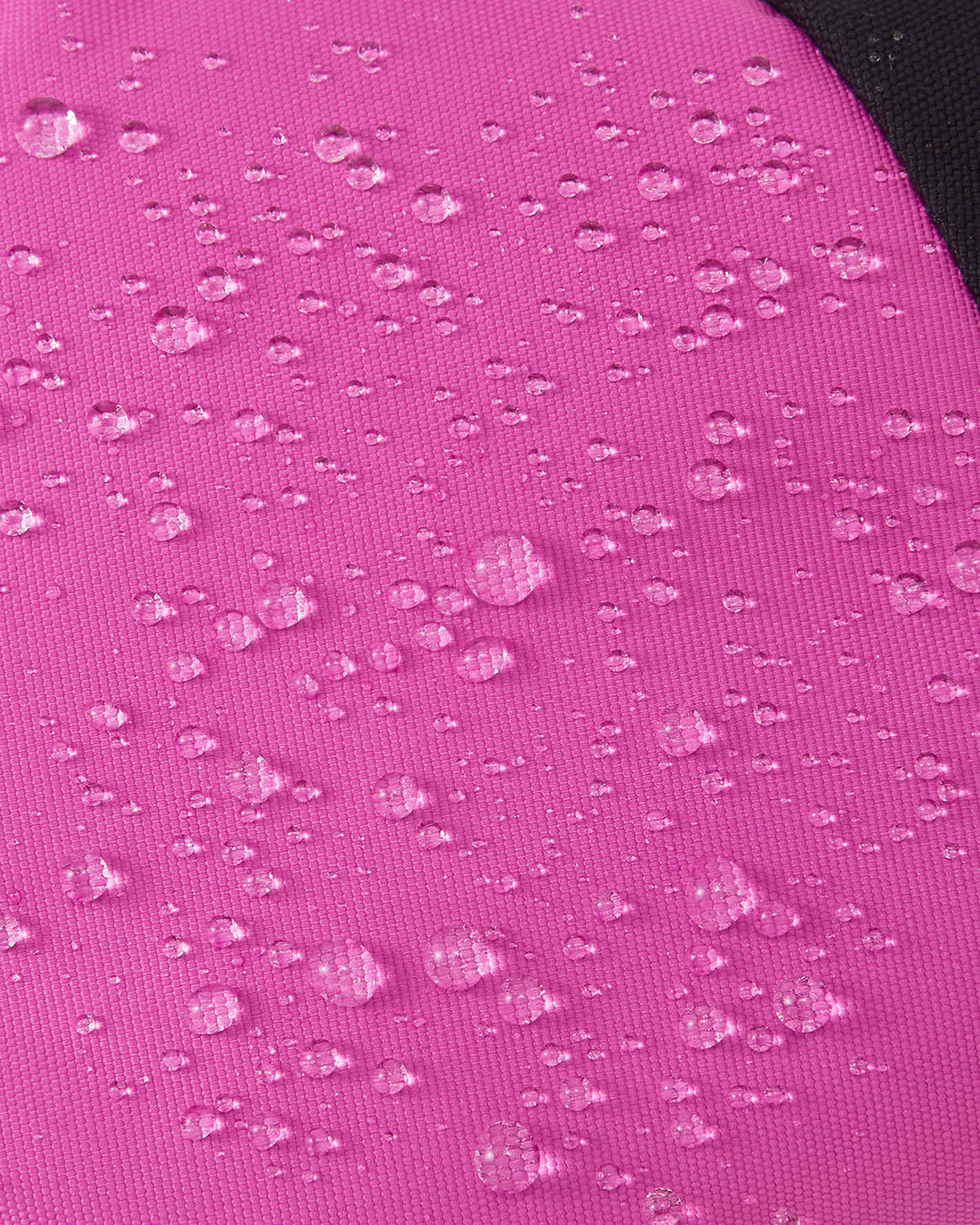 Fucshia