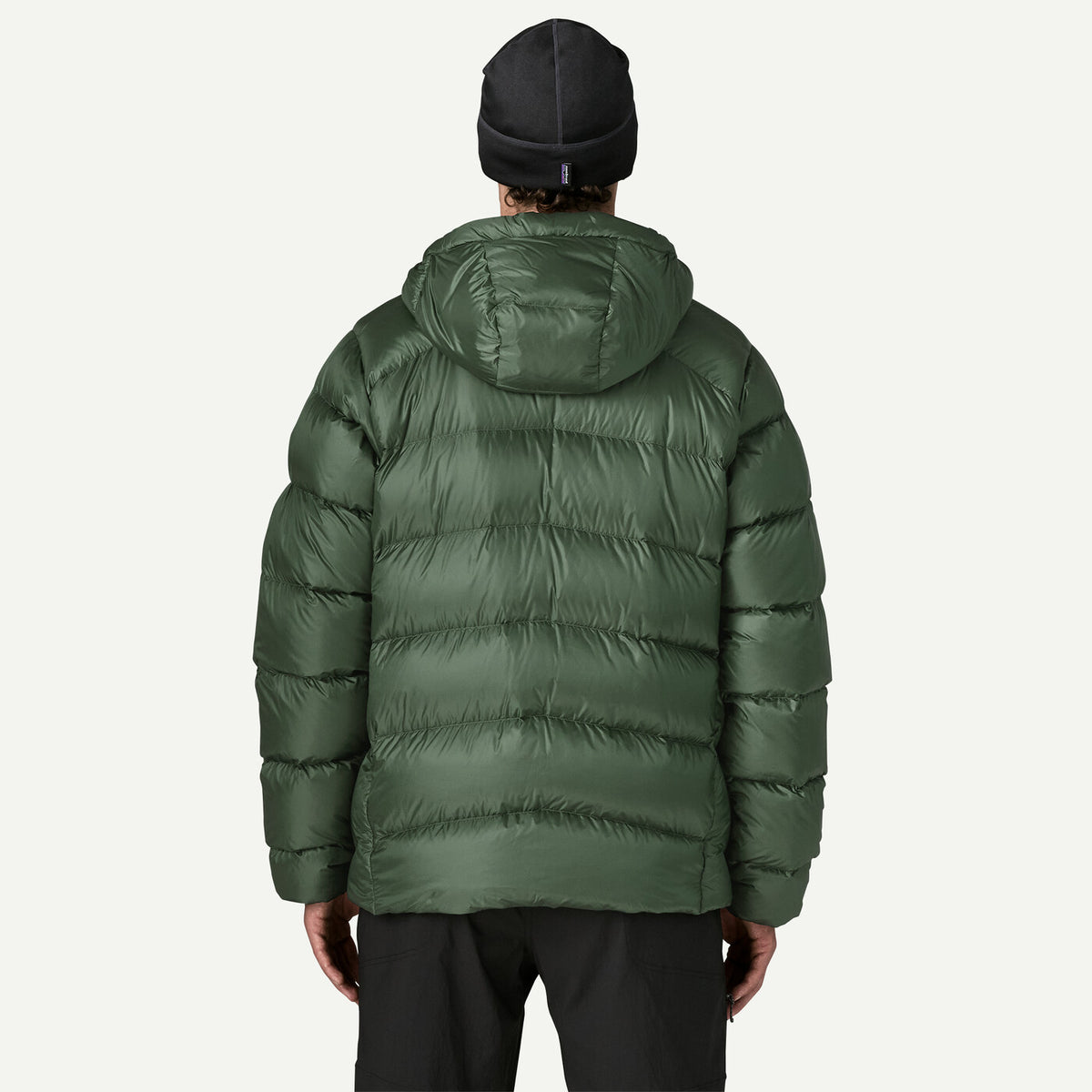 Canopy  Green