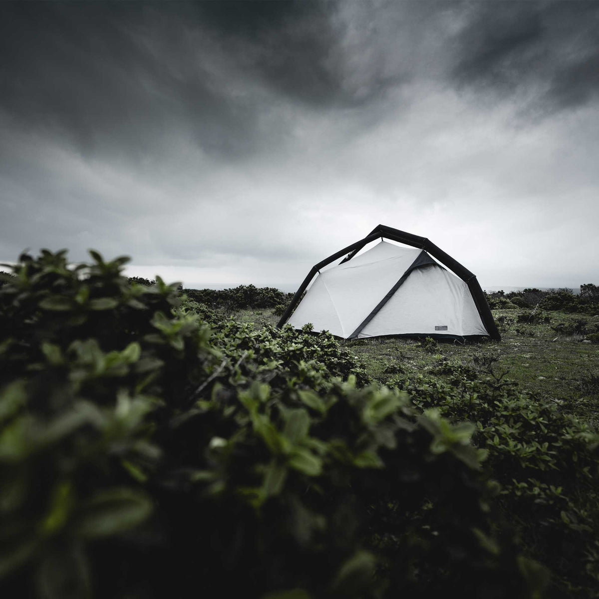 Heimplanet Fistral Classic - Sportís.is