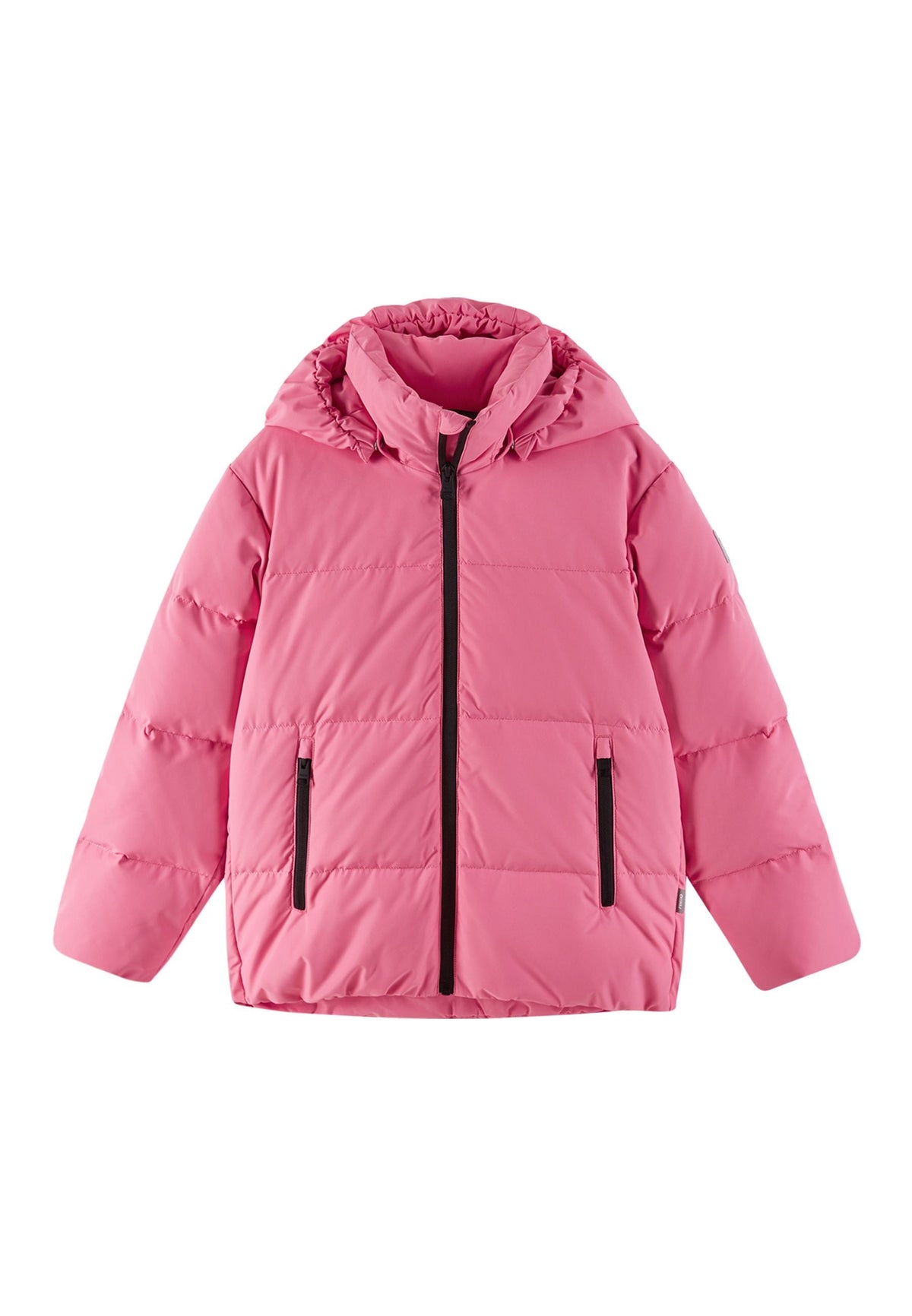 Soft coral