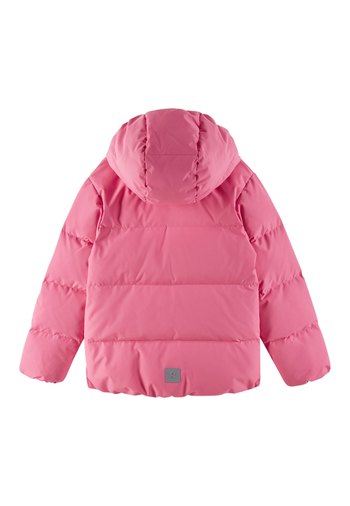 Soft coral