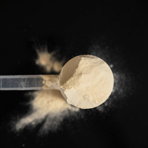 Näak Ultra Recovery Vanilla Protein Powder - prótein