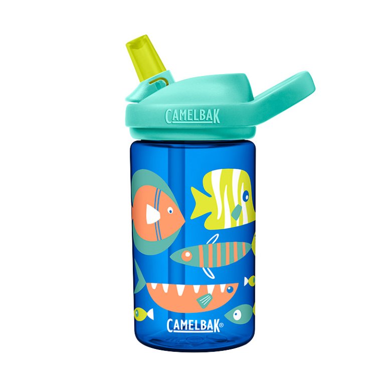 Fun Fish